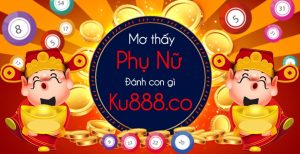 mo thay phu nu