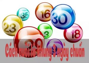 Hướng dẫn cách nuôi lô 3 ngày siêu đơn giản “trúng đậm”